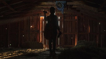 O Segredo da Colmeia