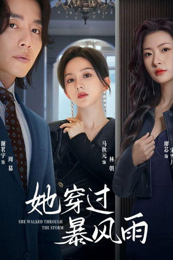 她穿过暴风雨 poster