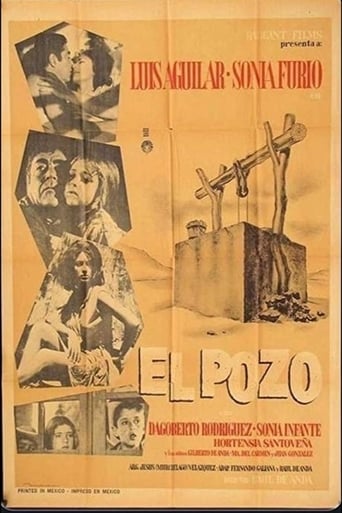 Poster för El pozo