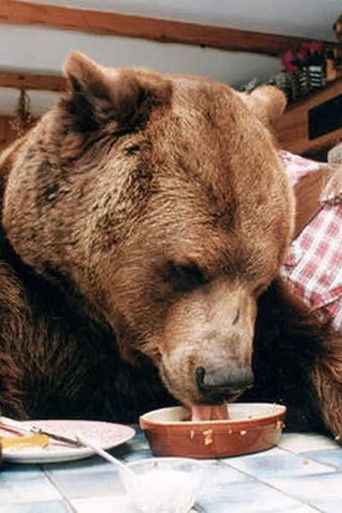 Hercules The Bear - A Love Story