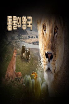 동물의 왕국 poster