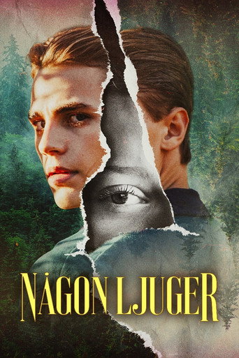 Någon ljuger affisch