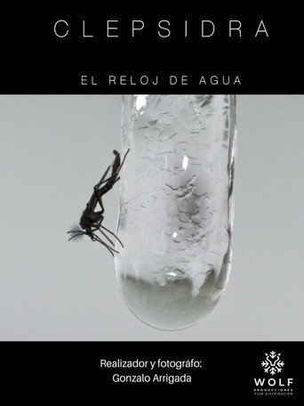 CLEPSIDRA galeri 2