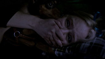 Galeria 3 - Grizzly Night