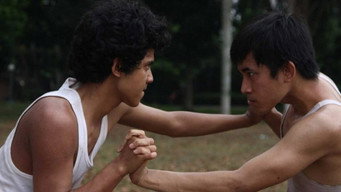The Fox Exploits the Tiger's Might (2015)