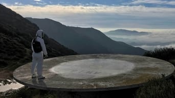 Galeria 2 - The Tangle