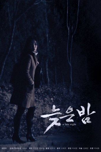 A Late Night (2012)
