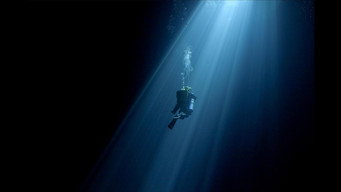 Diving Into the Darkness (2024)