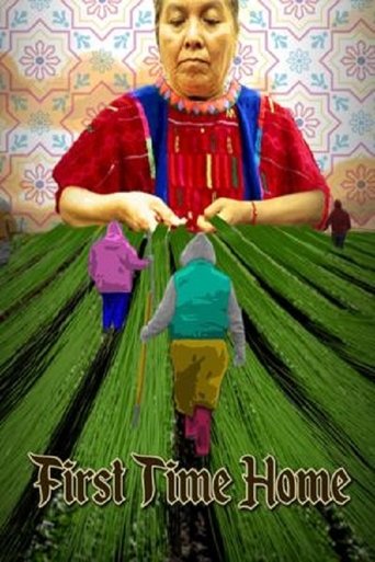 First Time Home poster