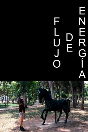 Flujo de Energía