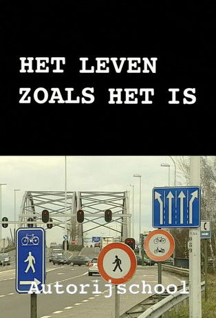 Het leven zoals het is: Autorijschool poster