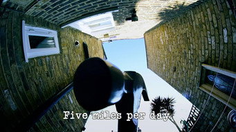 Five Miles Per Day
