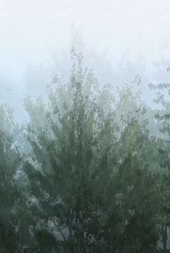 Wind