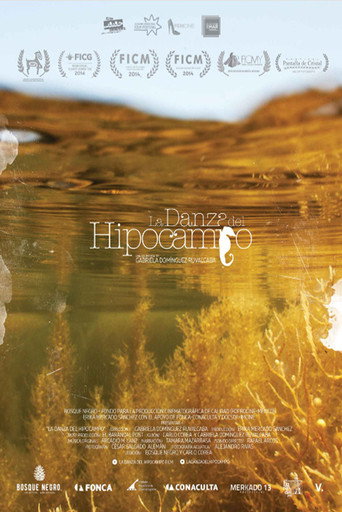 The Dance of Memory (2014)