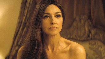 Galeria 5 - La trampa de la araña