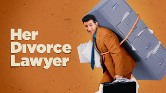 Her Divorce Lawyer (2002)