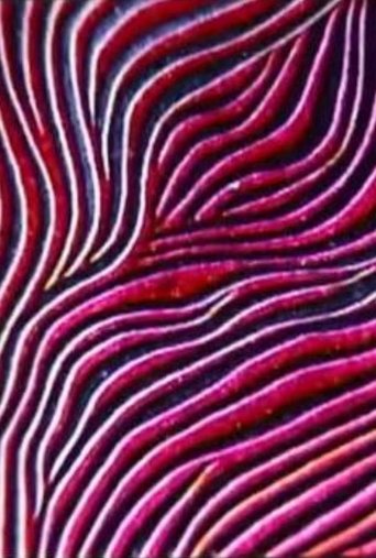 Abstract Patterns