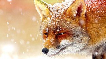 Tecnologia animal - S1E01