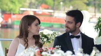 第13話：Episode 13