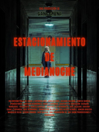 Midnight Parking Lot poster