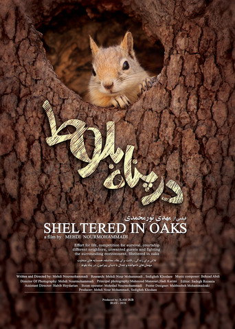 Sheltered in Oaks