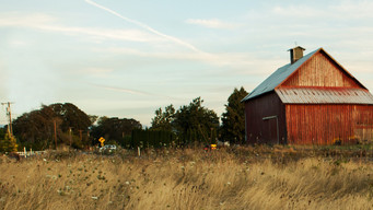 Farm Crime (2018- )