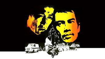 Подвійна гра (1976)