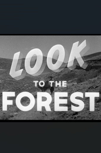 Look to the Forest