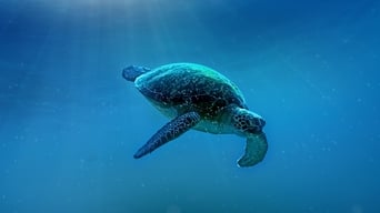 Big Pacific (2017)