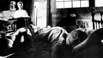 Face of Fire (1959)