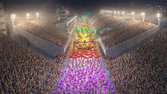#29 Ріо