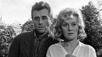 #20 Salto