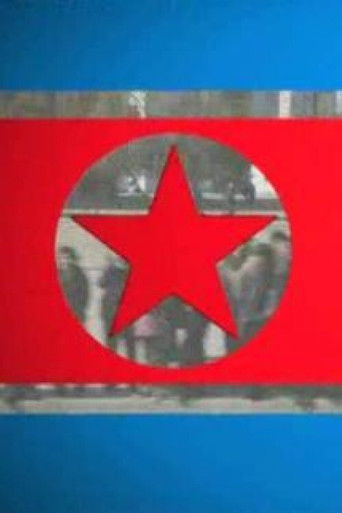 North Korea Undercover.2013 poster