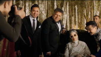 Shaandaar (2015)