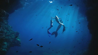 K3: The Song Of The Mermaid (2024)