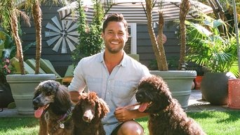 Ready, Set, Pet - S1E01