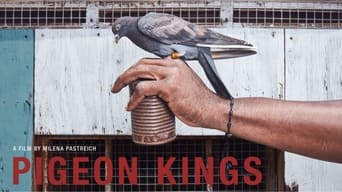 #1 Pigeon Kings