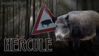 Episode 194 — Episode 194