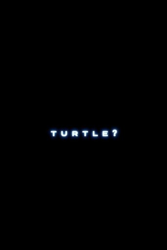 Turtle? poster