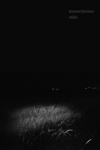 Monochrome Stills