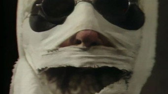 The Invisible Man (1984)