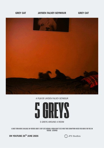 5 greys galeri 4