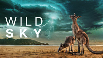 #4 Wild Sky