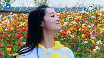 Aflevering 4 — Episode 4