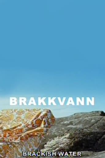 Poster of Brakkvann