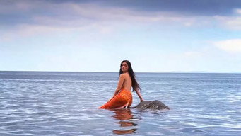 Dyesebel (2014)