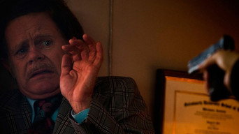 Galeria 4 - Único disparo