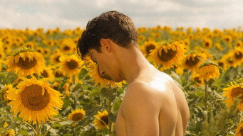 #6 Sunflower