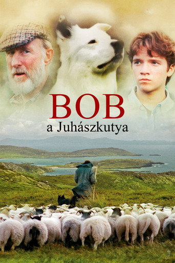 Bob, a juhászkutya