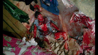 Don't Go in the Woods (1981)